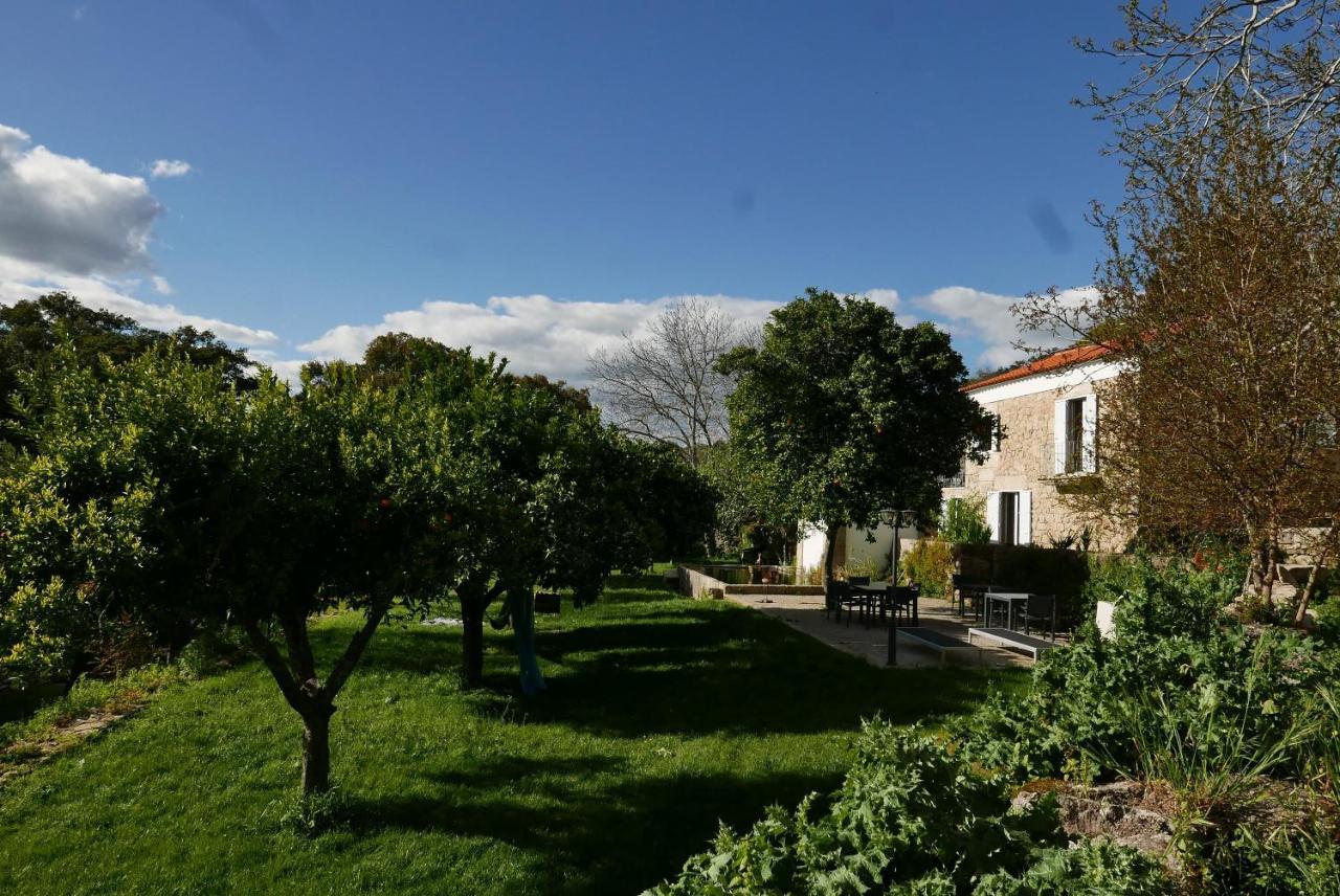 Bed and Breakfast Quinta De Sao Pedro De Vir-A-Corca Em Monsanto Exteriér fotografie