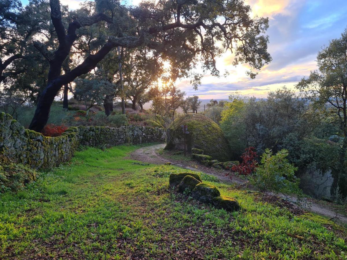 Bed and Breakfast Quinta De Sao Pedro De Vir-A-Corca Em Monsanto Exteriér fotografie